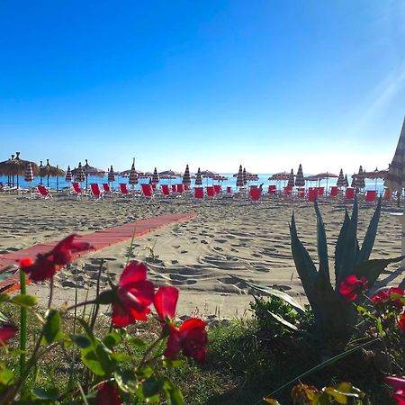 Hotel Silvi Silvi Marina Εξωτερικό φωτογραφία
