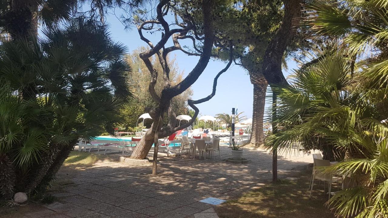Hotel Silvi Silvi Marina Εξωτερικό φωτογραφία