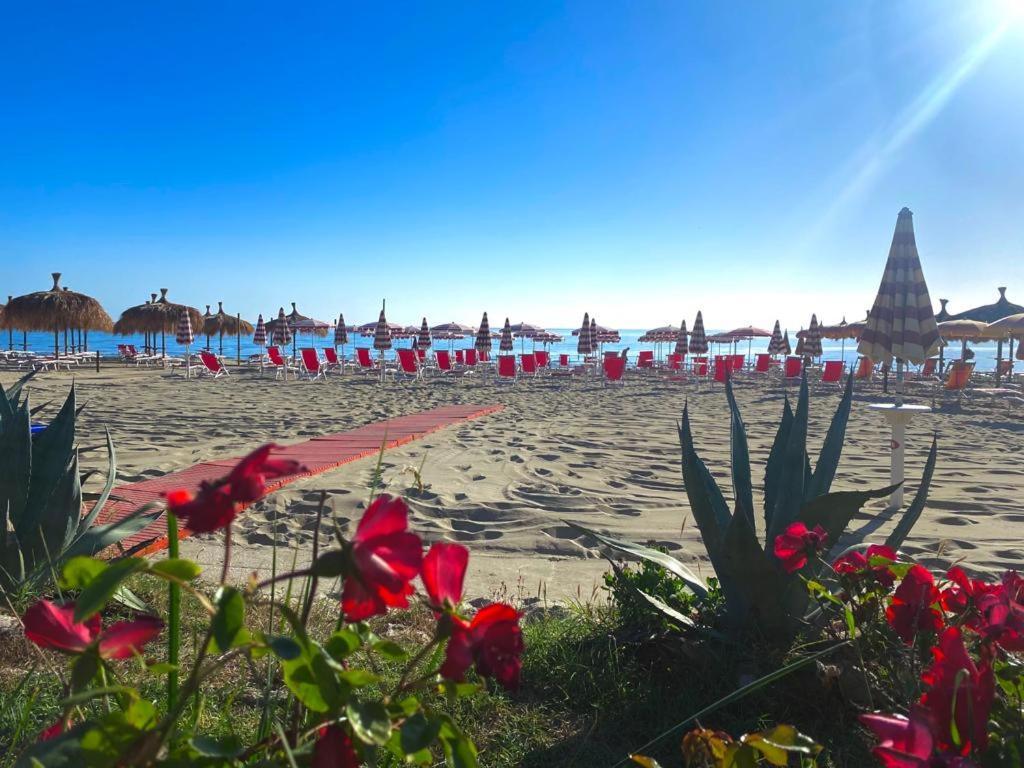 Hotel Silvi Silvi Marina Εξωτερικό φωτογραφία